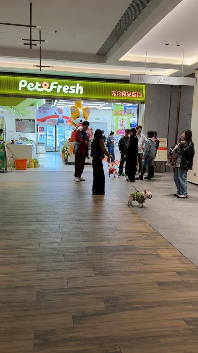 关店！曾被质疑“使用冷冻肉”CQ9电子网站连锁品牌接连(图8)