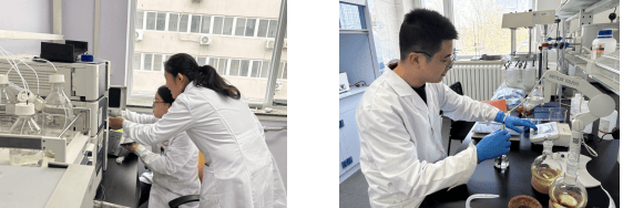 砥砺创新之翼 铸就卓越之魂：营养源所新增荣誉资质(图2)