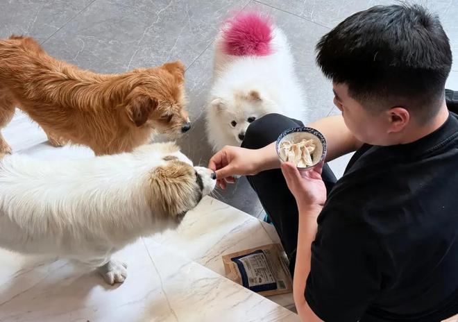 食啾啾趴窗透傻劲儿大小17爸父凭子贵CQ9电子网站小白和小黄趴在地上吃零(图6)