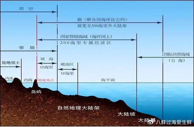 海捕水产品进口实施进口替代战略！CQ9传奇电子中国应该大力鼓励(图4)