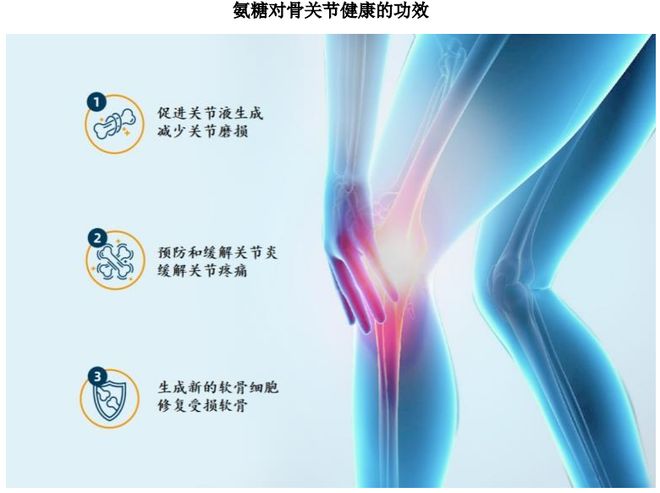 ：扎根运动健康赛道凭多元布局赢长远未来CQ9传奇电子HMB全球龙头技源集团(图6)