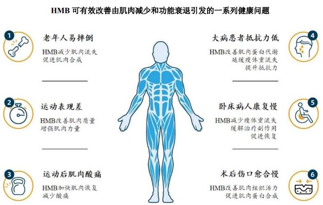 ：扎根运动健康赛道凭多元布局赢长远未来CQ9传奇电子HMB全球龙头技源集团(图3)