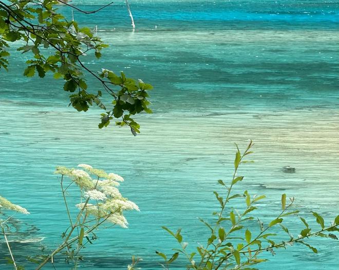 川旅游4天3晚防坑防骗攻略~一文全掌握！CQ9电子网站202