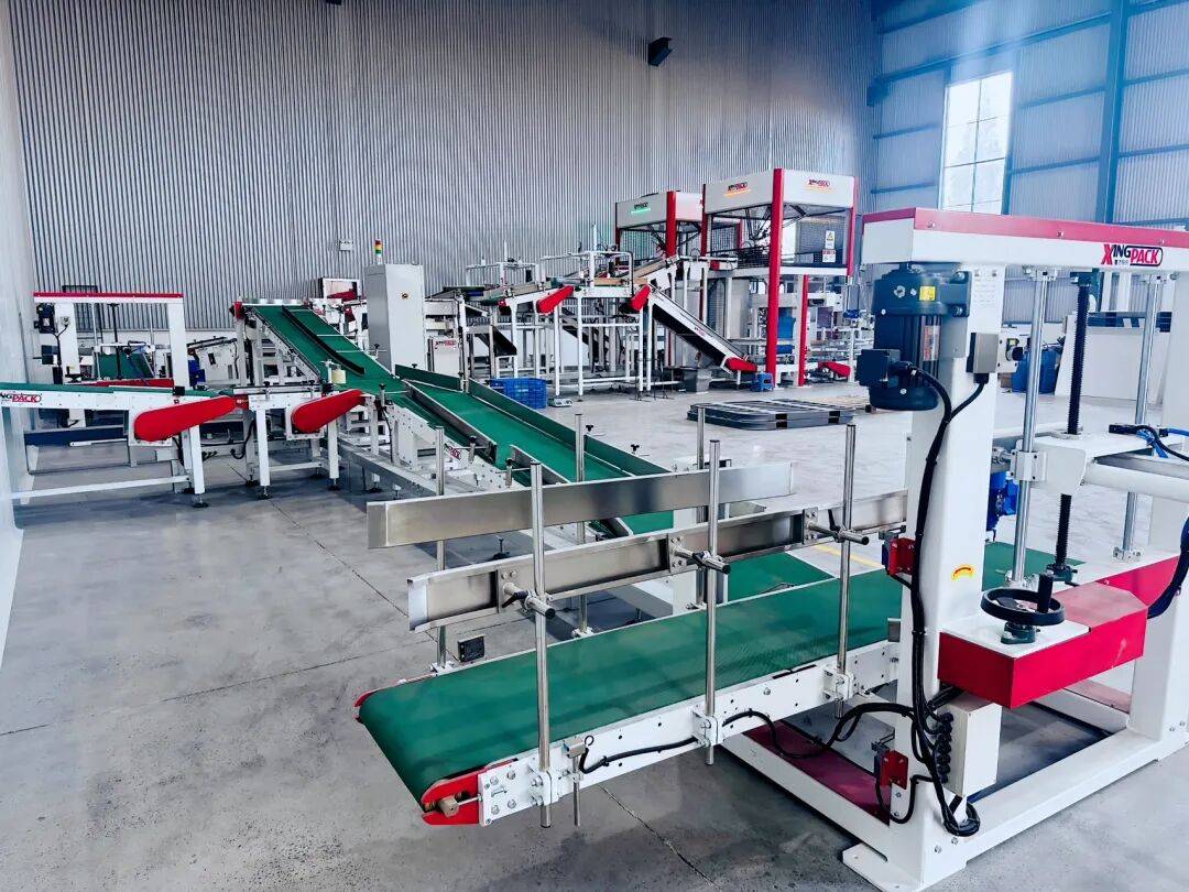 宠物用品产业带正强势崛起CQ9电子平台入口盱眙(图2)